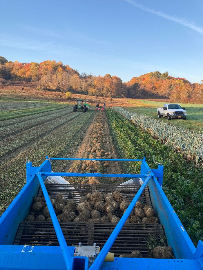 farm in fall