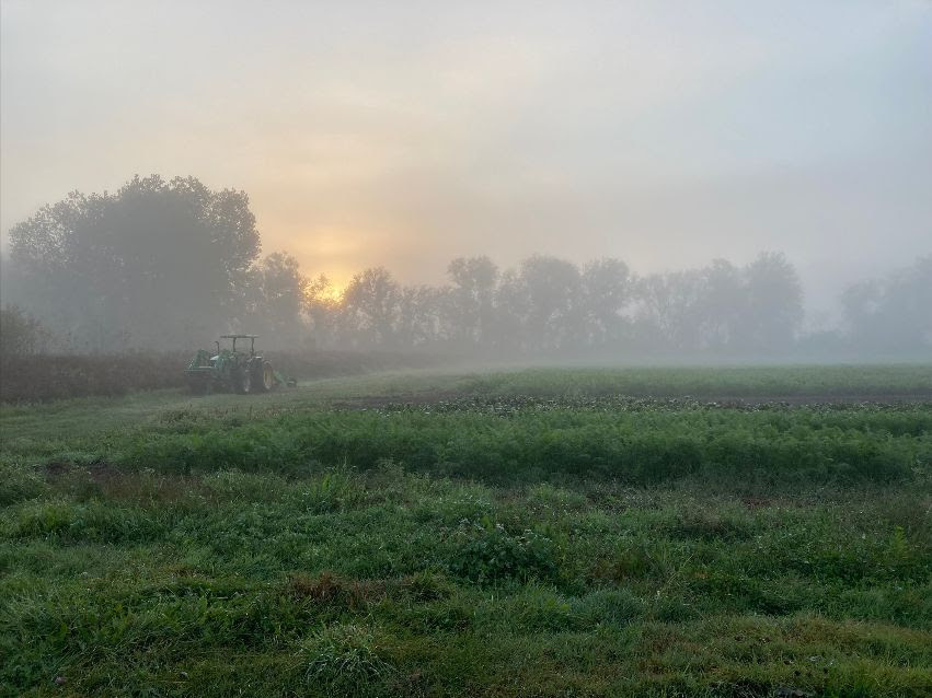 denison farm with mist